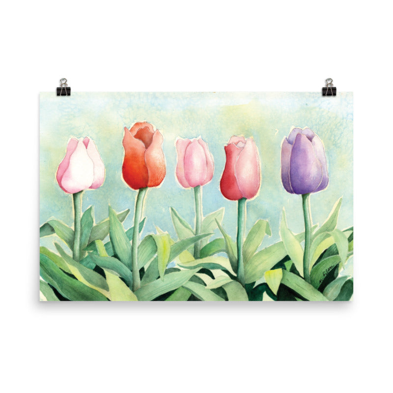 Tulip Study Wall Poster | Wall Posters for Bedroom | Wall Art Posters ...