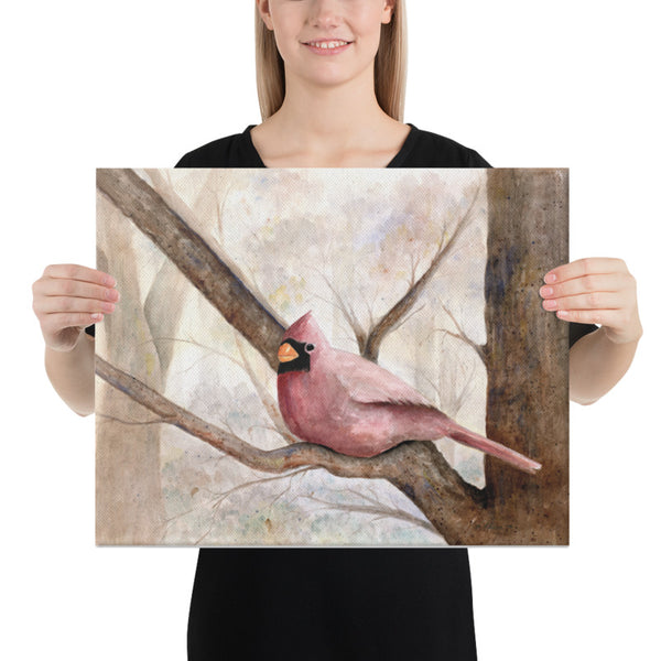Cardinal Canvas