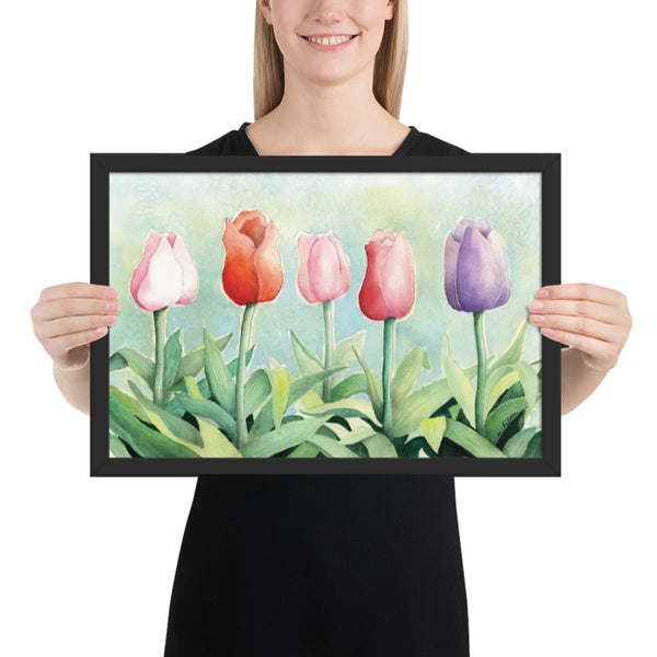 Tulip Study Framed Print