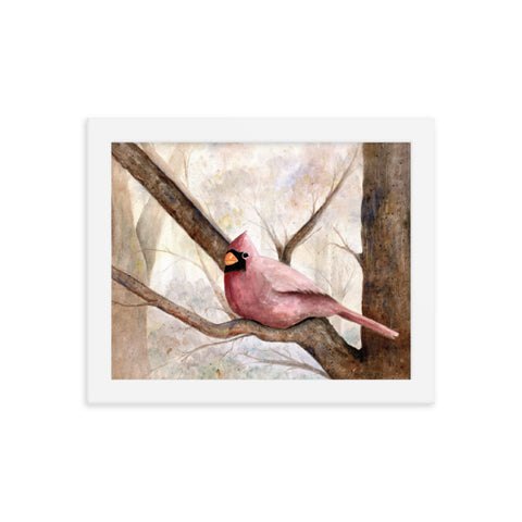 Cardinal Framed Print