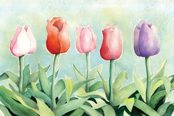 Tulip Study Wall Print