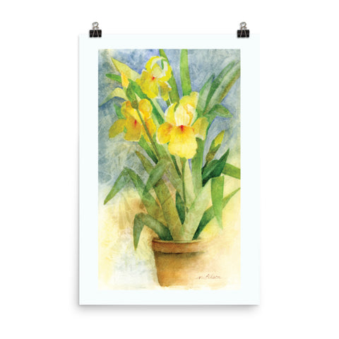 Yellow Iris Wall Print