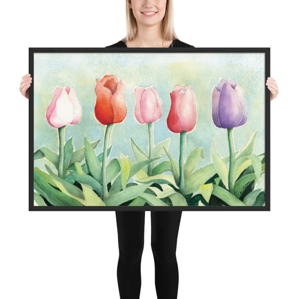 Tulip Study Framed Print