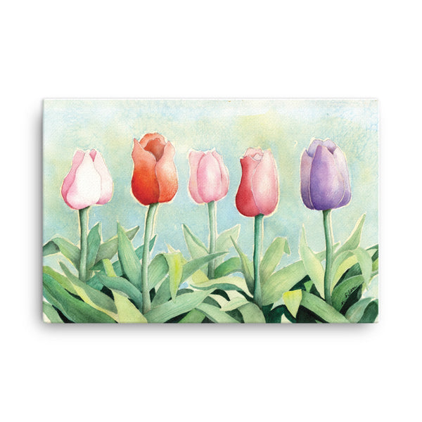 Tulip Study Canvas