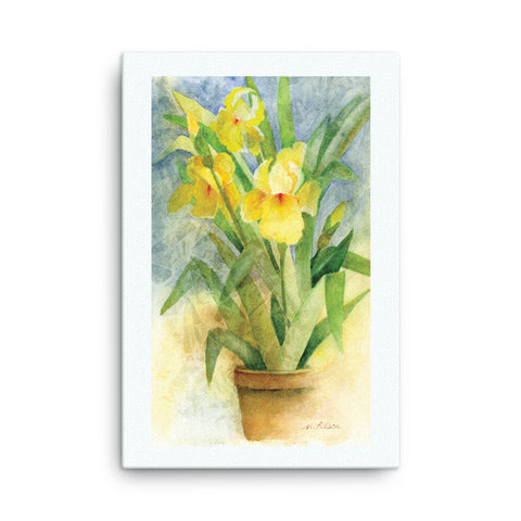 Yellow Iris Canvas