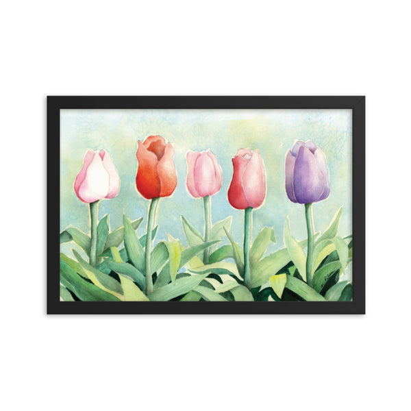 Tulip Study Framed Print