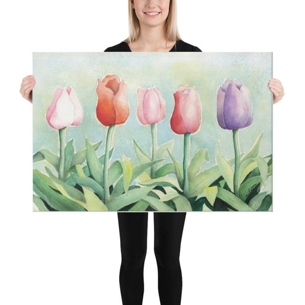 Tulip Study Canvas