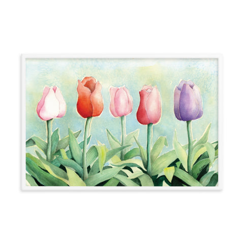 Tulip Study Framed Print