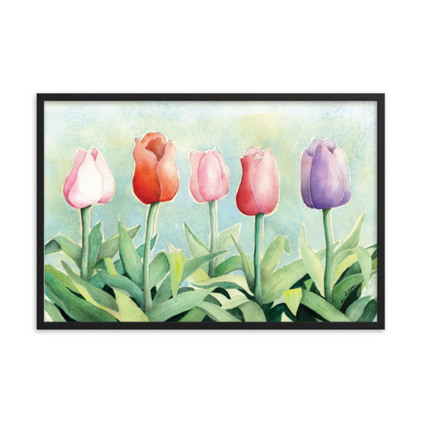 Tulip Study Framed Print