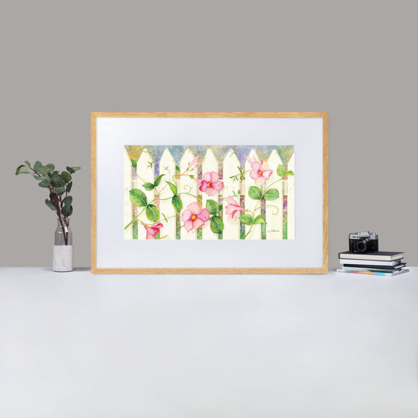 Symphony on a Picket Fence Framed Print With Mat